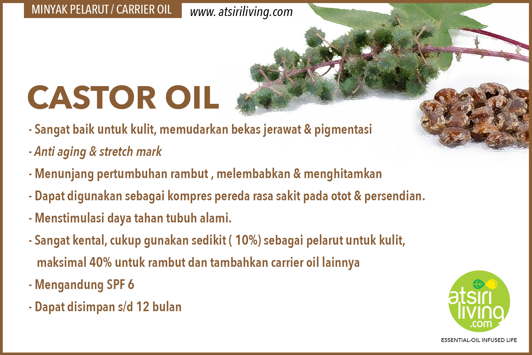 castor-oil-ind